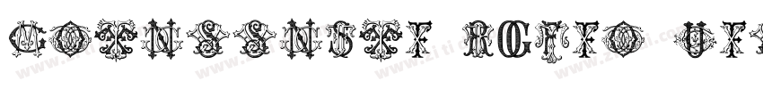 Intellecta Roman Tal字体转换